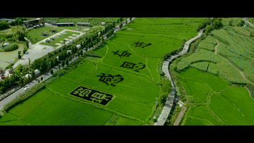  道·路 