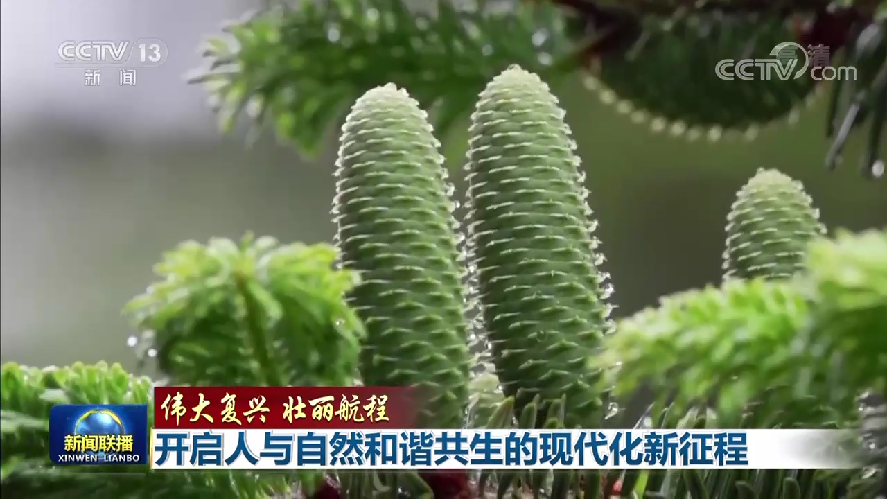 偉大復(fù)興 壯麗航程 | 開(kāi)啟人與自然和諧共生的現(xiàn)代化新征程