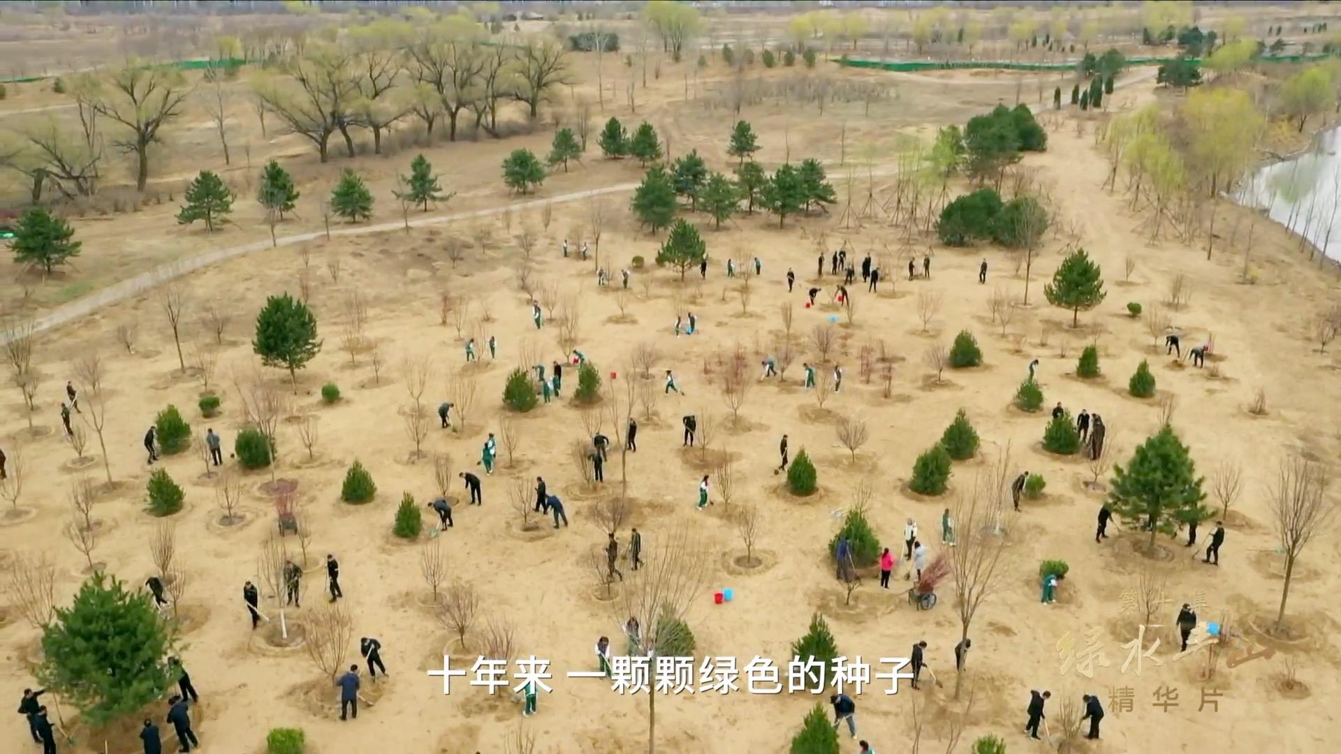 領(lǐng)航｜《美好生活》、《綠水青山》速覽