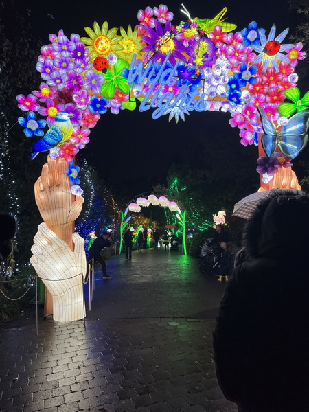 第五屆“野性之光”中國(guó)彩燈展點(diǎn)亮愛爾蘭