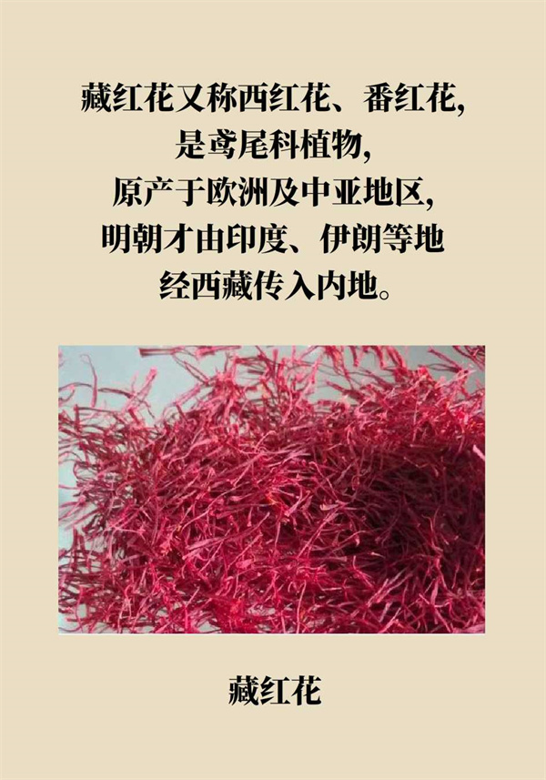 泡腳真能養(yǎng)生？專家：對癥才是關鍵