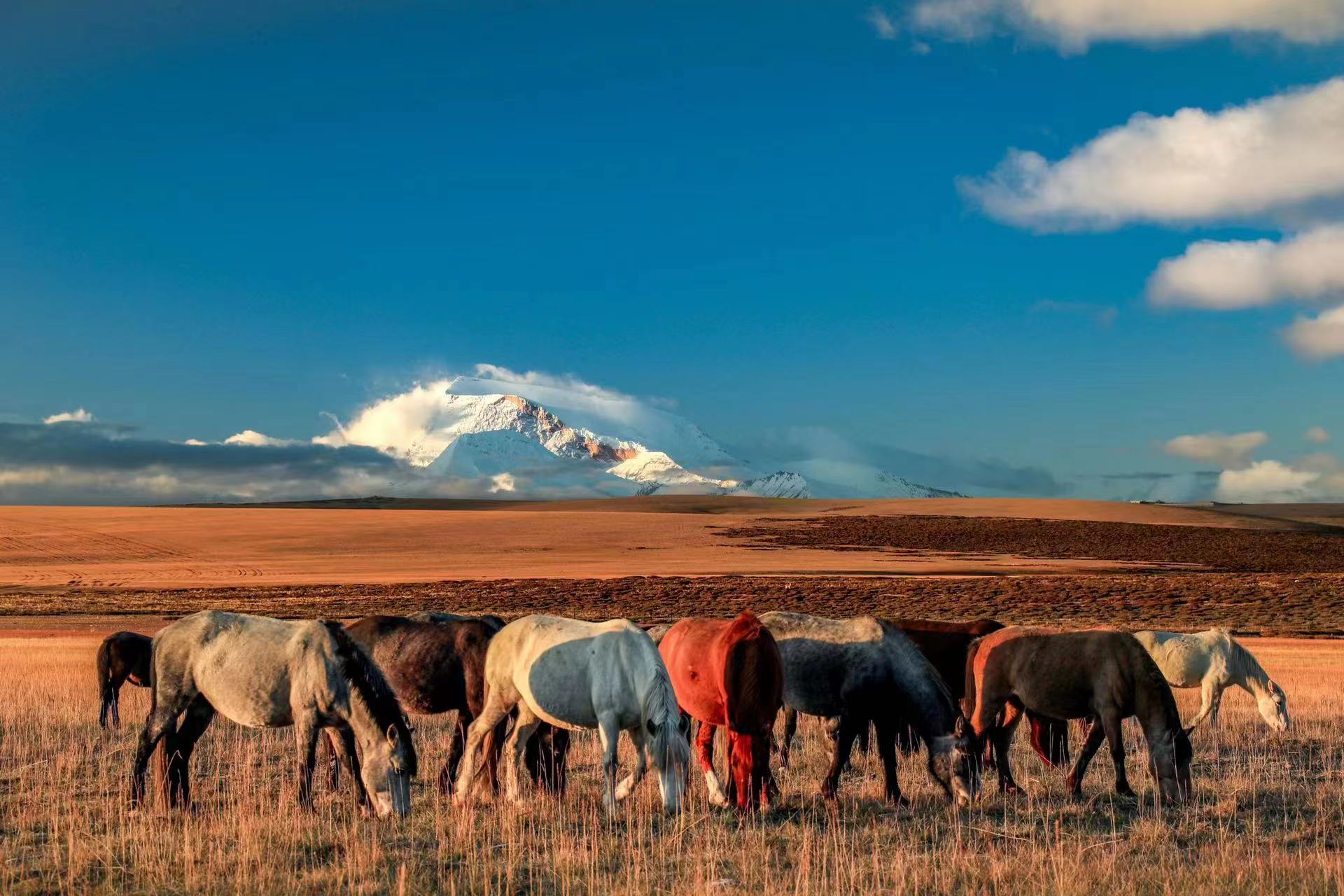 新華全媒+｜在水一方 大美濕地