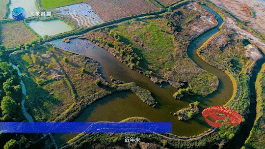 神話新傳｜古有大禹治水，今有&ldquo;會飛的大熊貓&rdquo;安家河南