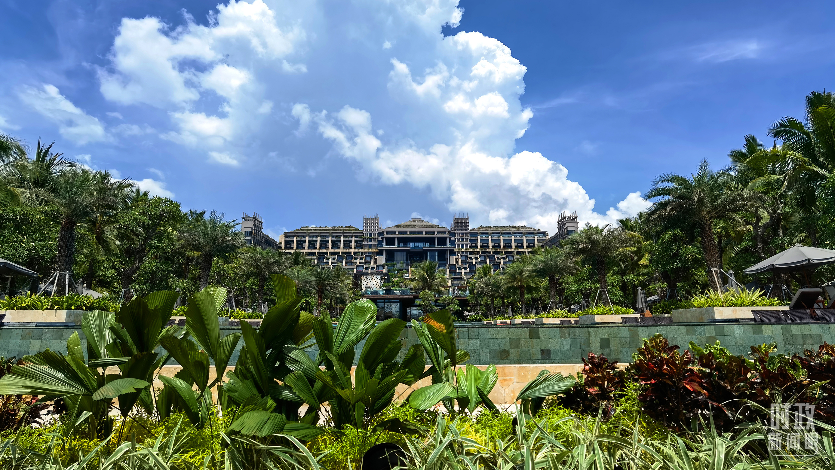 時政新聞眼丨G20巴厘島峰會第一天，習主席重點談了什么？