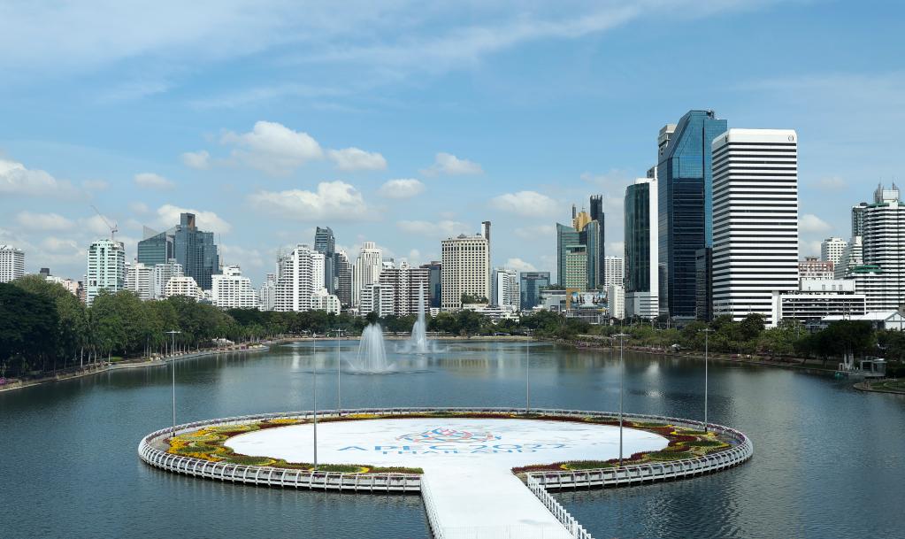 海報丨面向APEC大家庭，習近平主席這樣推動構建亞太命運共同體