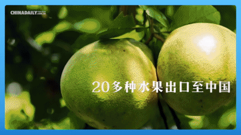 跟著習(xí)主席看世界 | 走進(jìn)“水果王國(guó)”泰國(guó)
