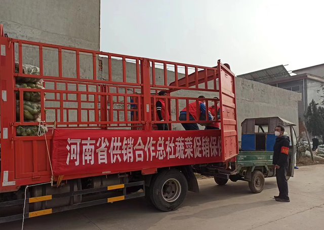 蔬菜促銷保供車紛紛駛來！解了菜農(nóng)的“燃眉之急”