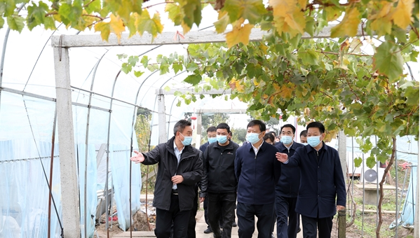 鮑常勇到正陽縣調(diào)研