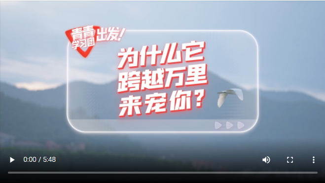 探尋中國(guó)式現(xiàn)代化之路丨為什么它跨越萬里來寵你？
