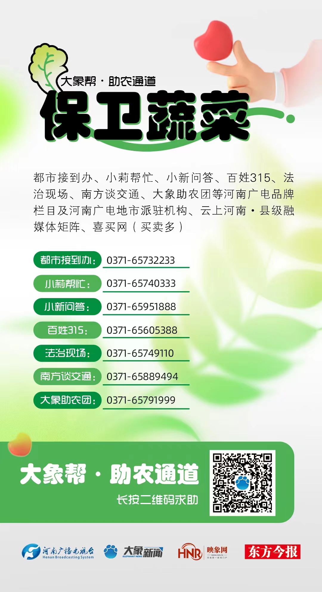 關(guān)愛·溫暖 | 大象幫·助農(nóng)直播效應(yīng)明顯，平頂山“張良蔬菜”外銷日增30余噸