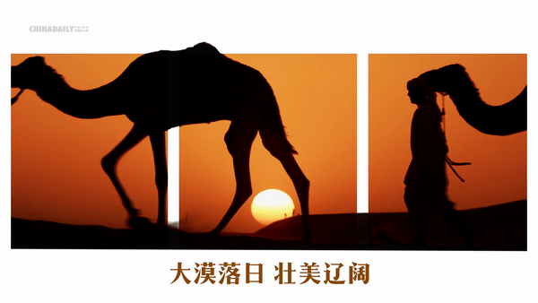 跟著習(xí)主席看世界 | 走進(jìn)&ldquo;石油王國&rdquo;沙特阿拉伯