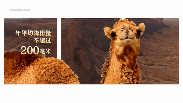 跟著習(xí)主席看世界 | 走進(jìn)&ldquo;石油王國&rdquo;沙特阿拉伯