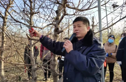 大雪話農(nóng)耕丨大雪如期至 來年滿枝甜
