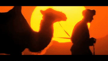 微視頻 | 中阿絲路之約