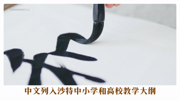 跟著習(xí)主席看世界 | 走進(jìn)&ldquo;石油王國&rdquo;沙特阿拉伯