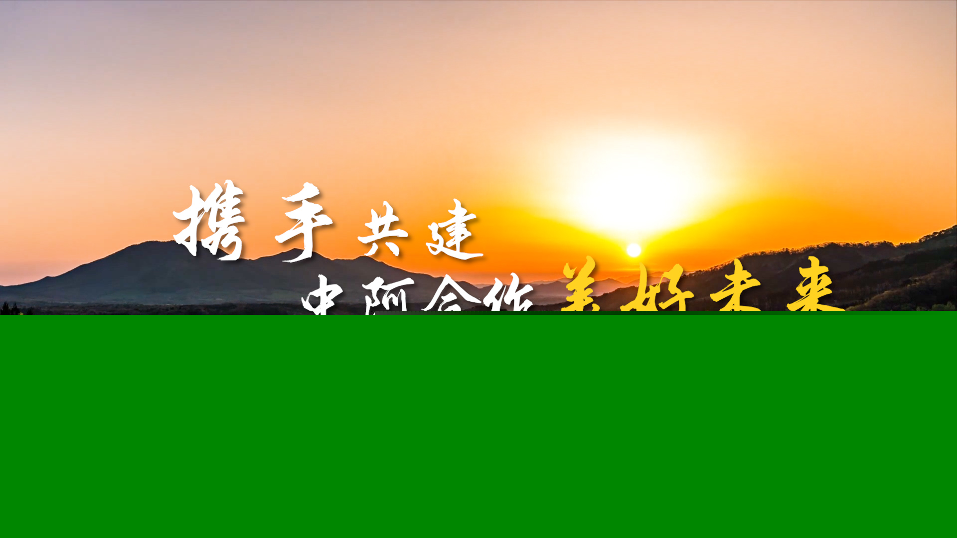 攜手共建中阿合作美好未來