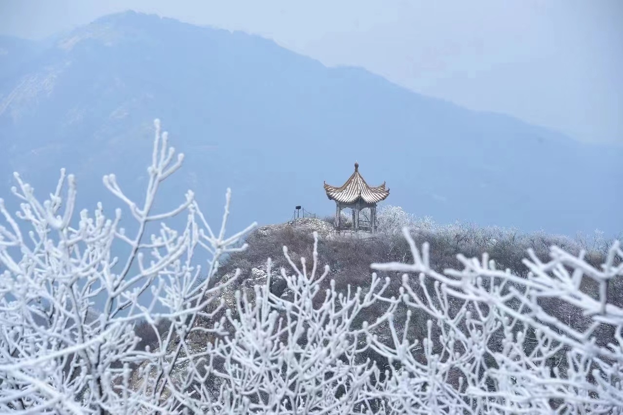 河南泌陽：玉樹瓊花白云山 仲冬霧凇如仙境