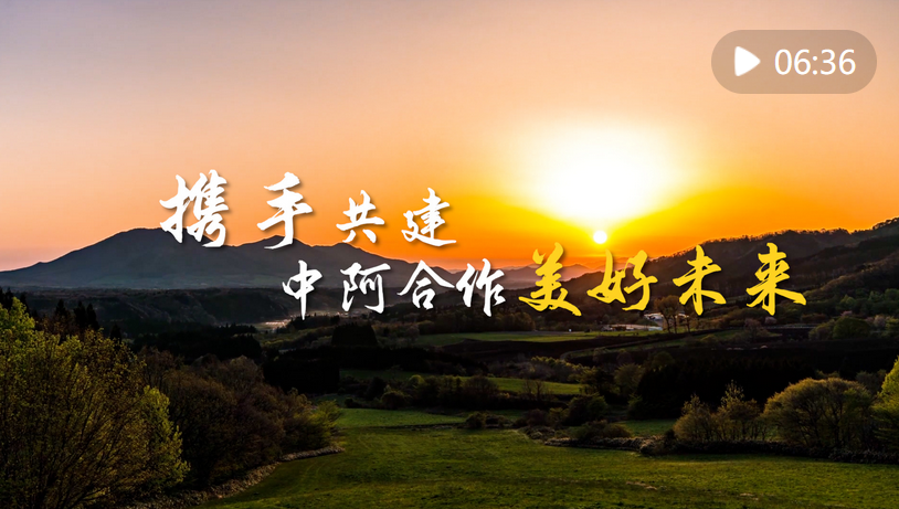 攜手共建中阿合作美好未來