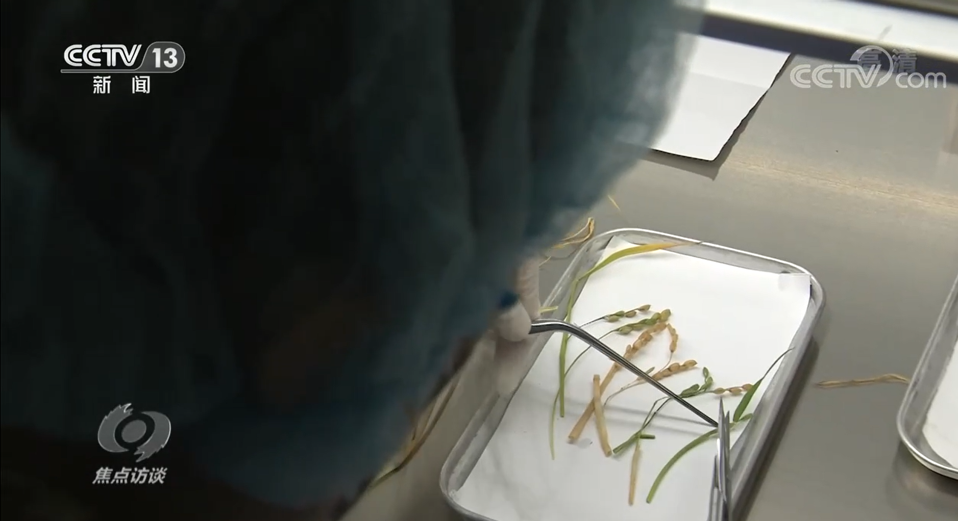 焦點訪談:“最忙乘組”的183天