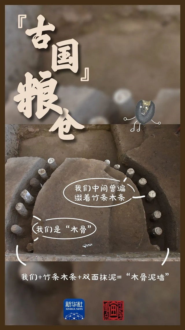 這里，有考古新發(fā)現(xiàn)！