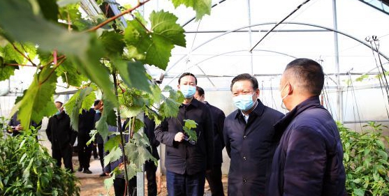 鮑常勇到平輿縣調(diào)研