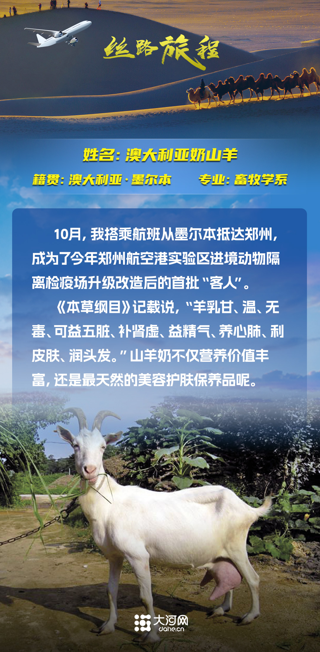  絲路旅程丨假如商品會說話，“我是誰、從哪里來、要到哪里去”的哲學三連問怎么答？