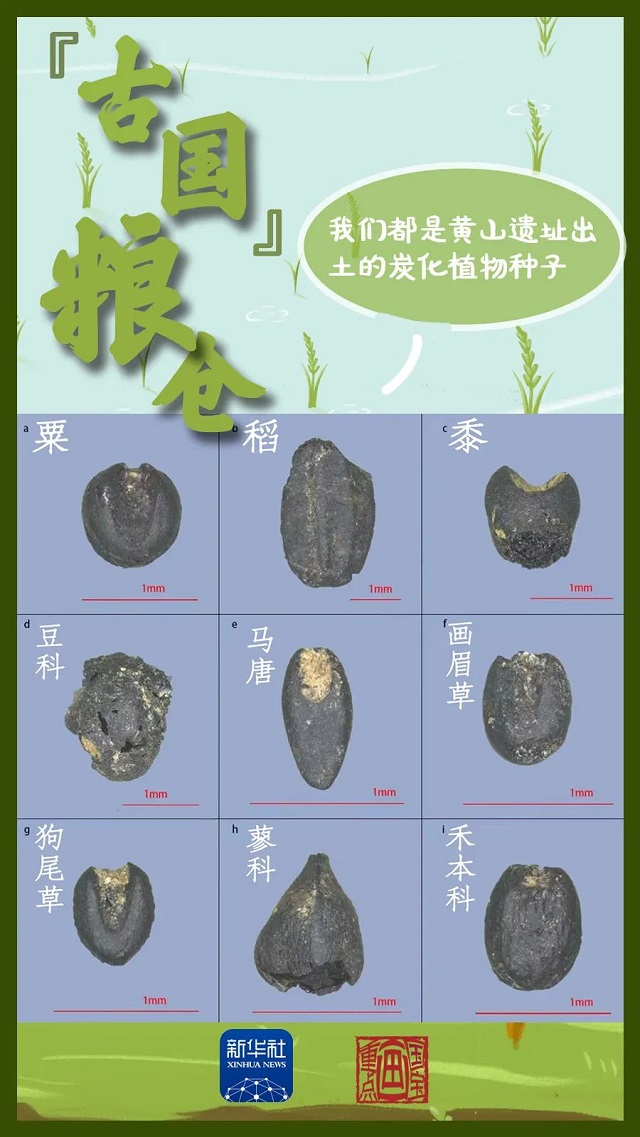 這里，有考古新發(fā)現(xiàn)！