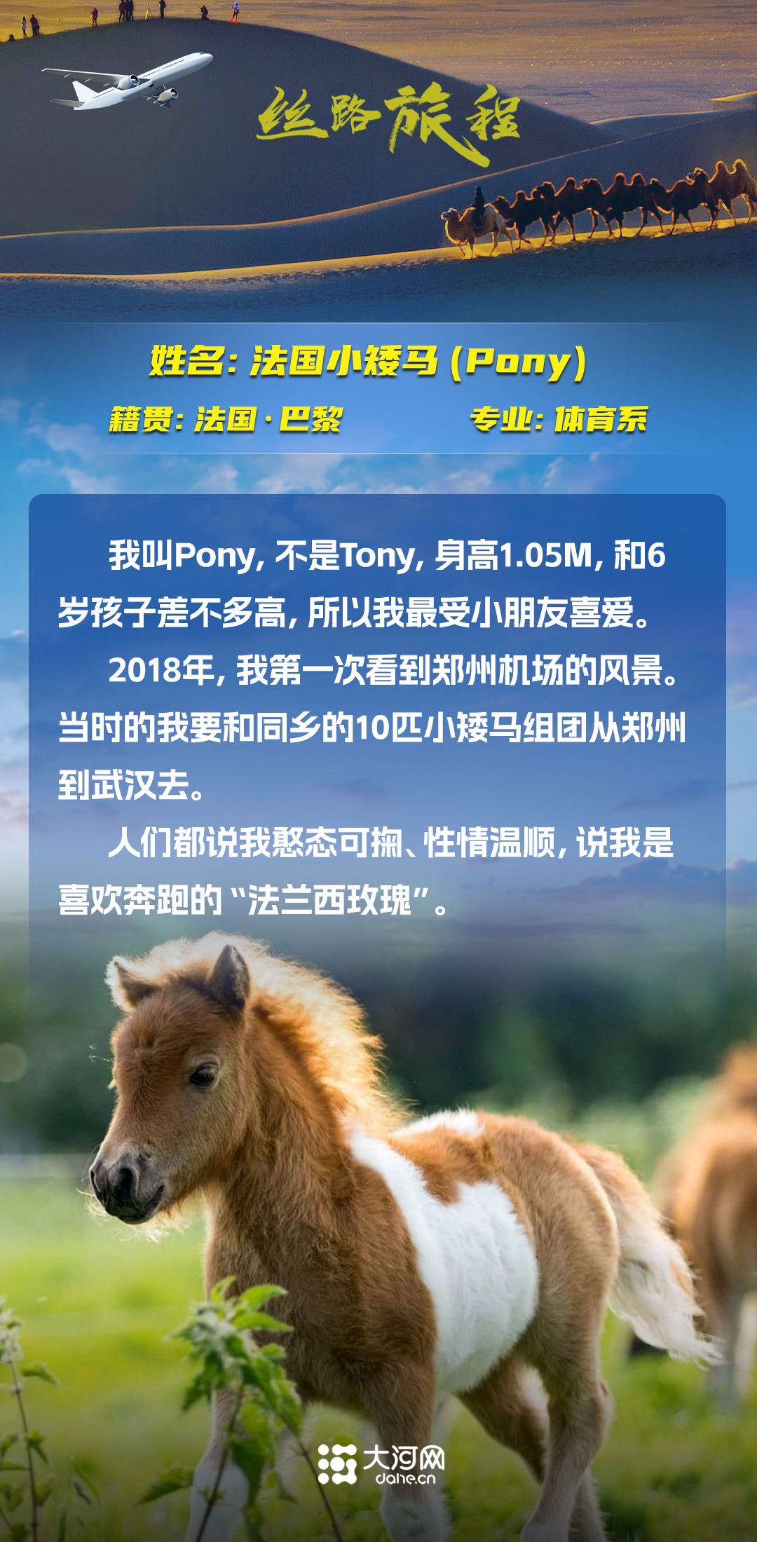  絲路旅程丨假如商品會說話，“我是誰、從哪里來、要到哪里去”的哲學三連問怎么答？