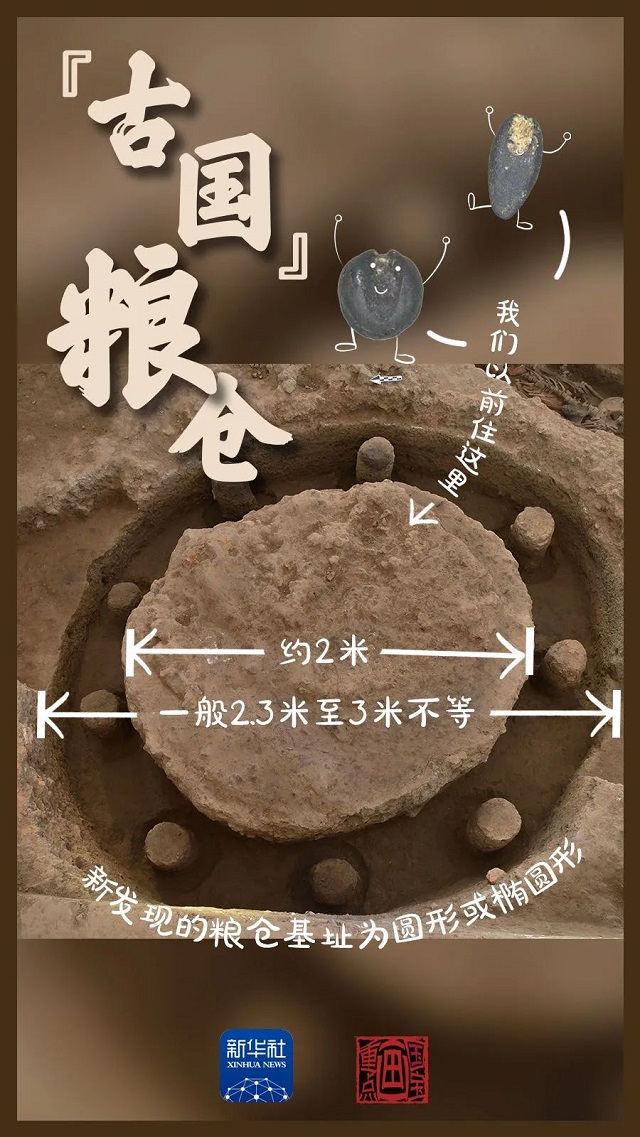 這里，有考古新發(fā)現(xiàn)！