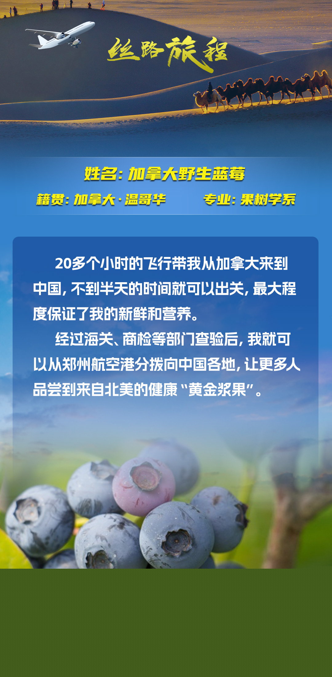  絲路旅程丨假如商品會說話，“我是誰、從哪里來、要到哪里去”的哲學三連問怎么答？