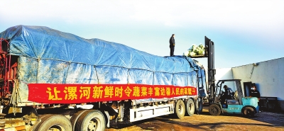 關愛你我他(她)·溫暖千萬家丨河南時蔬端上哈密餐桌