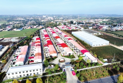 鞏固拓展脫貧攻堅成果 書寫中原鄉(xiāng)村壯美畫卷