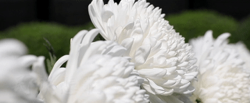 微視頻｜勿忘！自強！