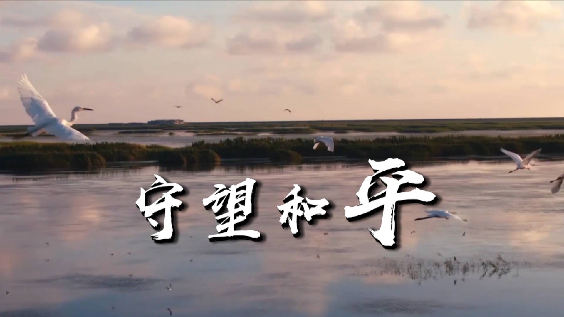 微視頻：守望和平