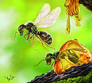 科學(xué)家揭示恐龍時代古螞蟻的細致樣貌