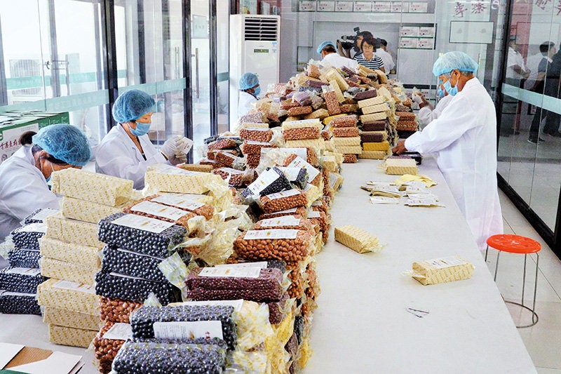 鄉(xiāng)村振興看河南丨與粵港澳大灣區(qū)“菜籃子”簽訂合同 沈丘這個(gè)村發(fā)展訂單農(nóng)業(yè)走上致富路