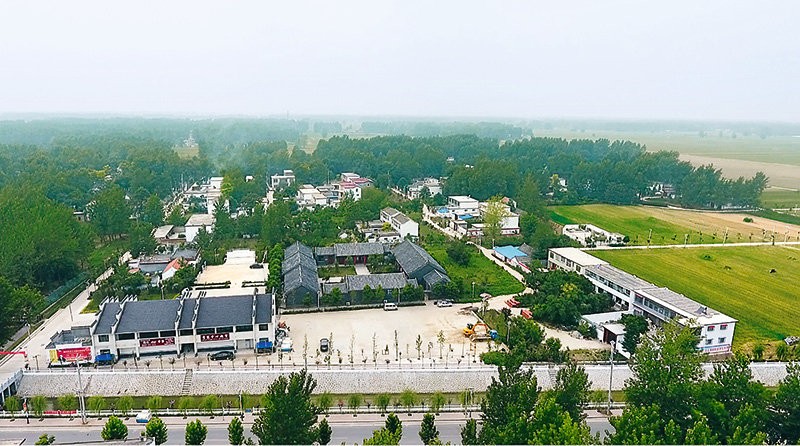 鄉(xiāng)村振興看河南丨與粵港澳大灣區(qū)“菜籃子”簽訂合同 沈丘這個(gè)村發(fā)展訂單農(nóng)業(yè)走上致富路