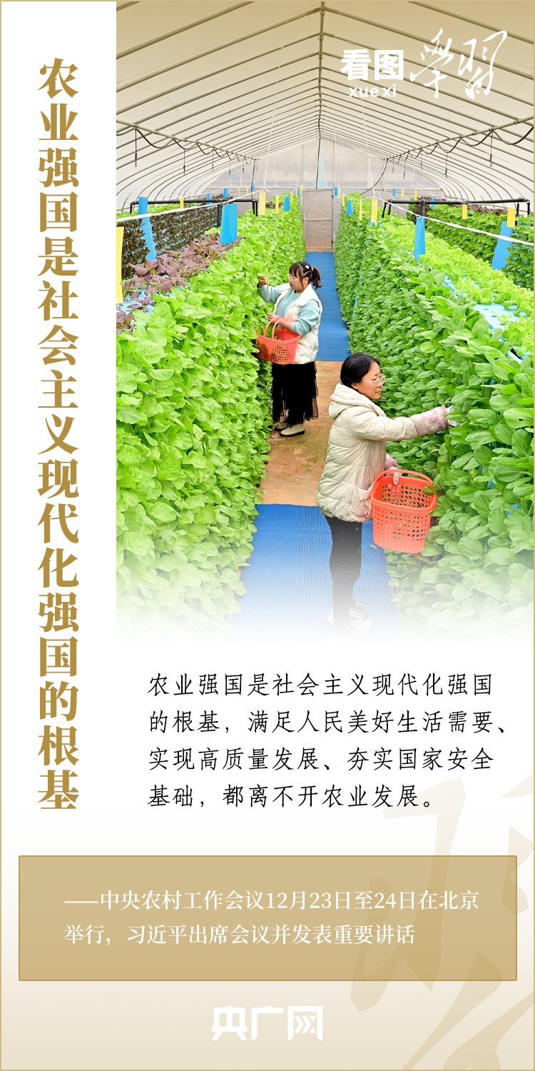 看圖學(xué)習(xí)丨強(qiáng)國必先強(qiáng)農(nóng) 農(nóng)強(qiáng)方能國強(qiáng)