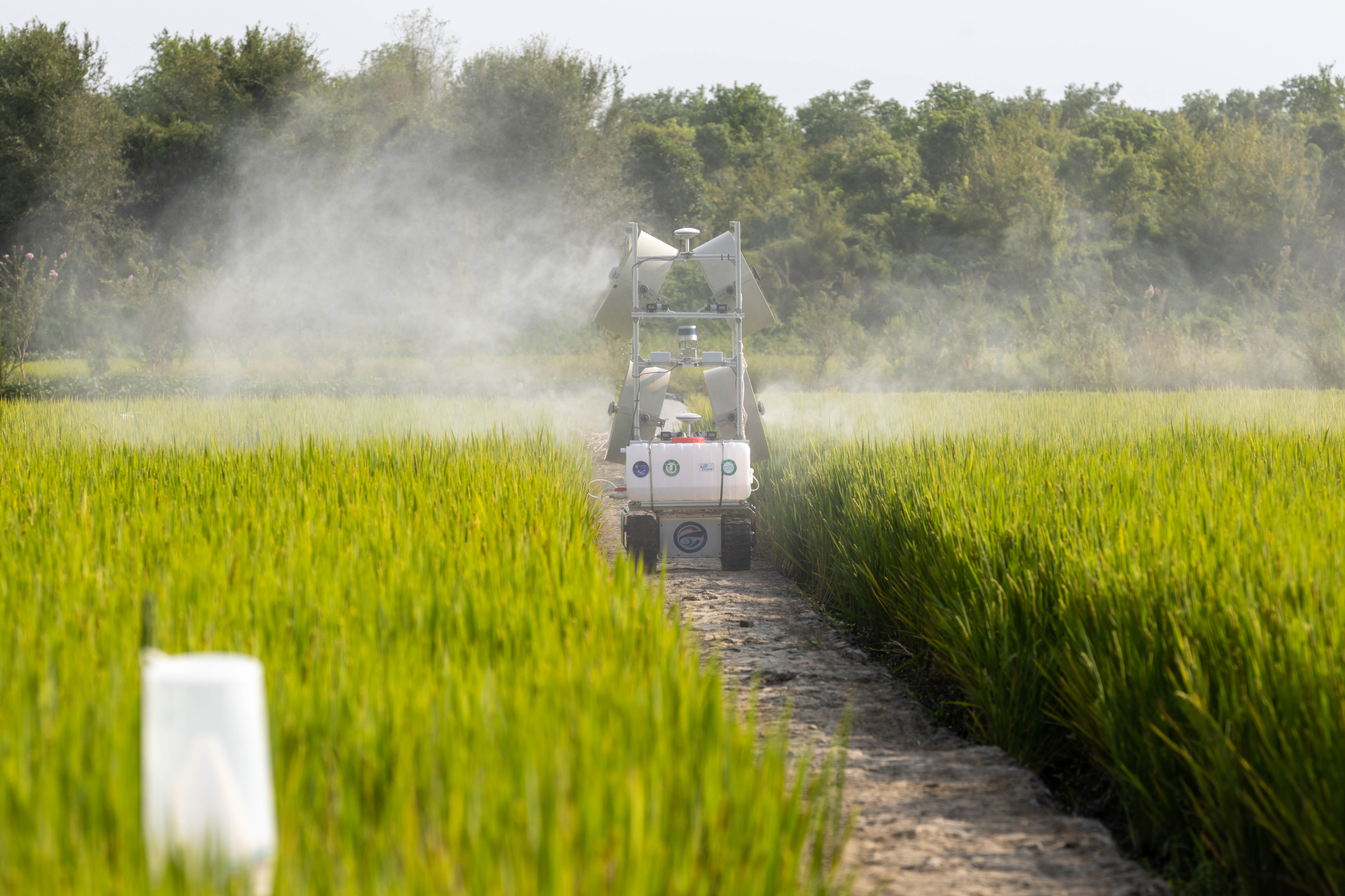 為加快建設(shè)農(nóng)業(yè)強(qiáng)國(guó)而努力奮斗——從中央農(nóng)村工作會(huì)議看新時(shí)代新征程“三農(nóng)”工作戰(zhàn)略部署