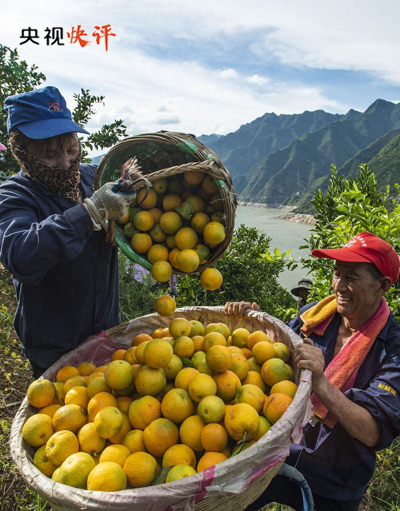 【央視快評】全面推進(jìn)鄉(xiāng)村振興 加快建設(shè)農(nóng)業(yè)強(qiáng)國