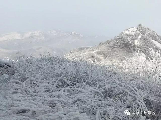 「金頂●冬雪」忽如一夜春風(fēng)來，千樹萬樹梨花開