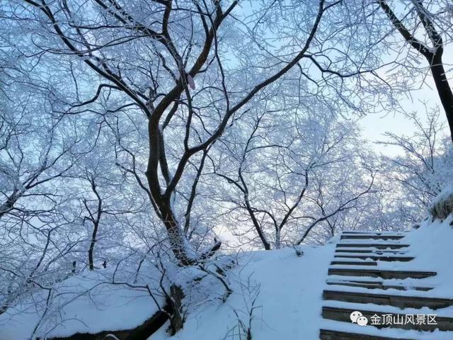 「金頂●冬雪」忽如一夜春風(fēng)來，千樹萬樹梨花開