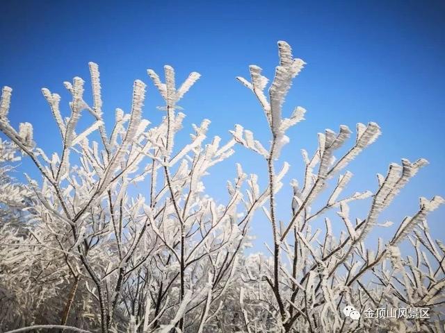 「金頂●冬雪」忽如一夜春風(fēng)來，千樹萬樹梨花開