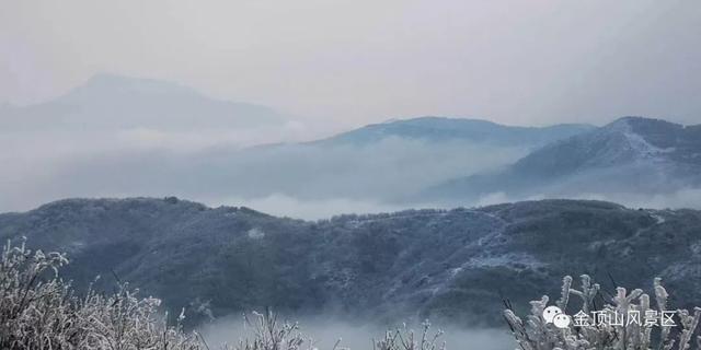 「金頂●冬雪」忽如一夜春風(fēng)來，千樹萬樹梨花開