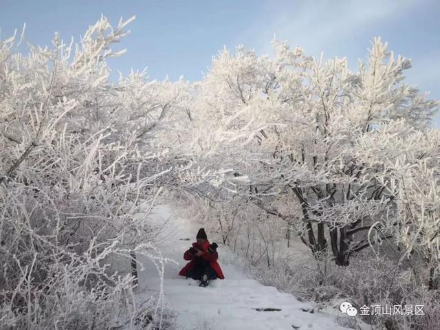 「金頂●冬雪」忽如一夜春風(fēng)來，千樹萬樹梨花開