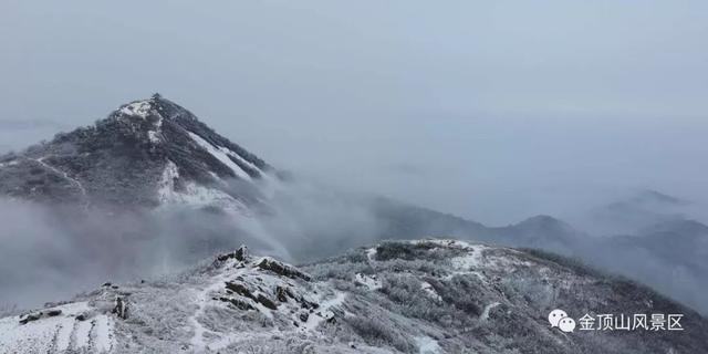 「金頂●冬雪」忽如一夜春風(fēng)來，千樹萬樹梨花開