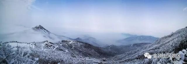 「金頂●冬雪」忽如一夜春風(fēng)來，千樹萬樹梨花開