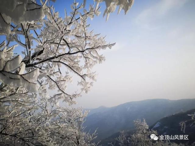 「金頂●冬雪」忽如一夜春風(fēng)來，千樹萬樹梨花開