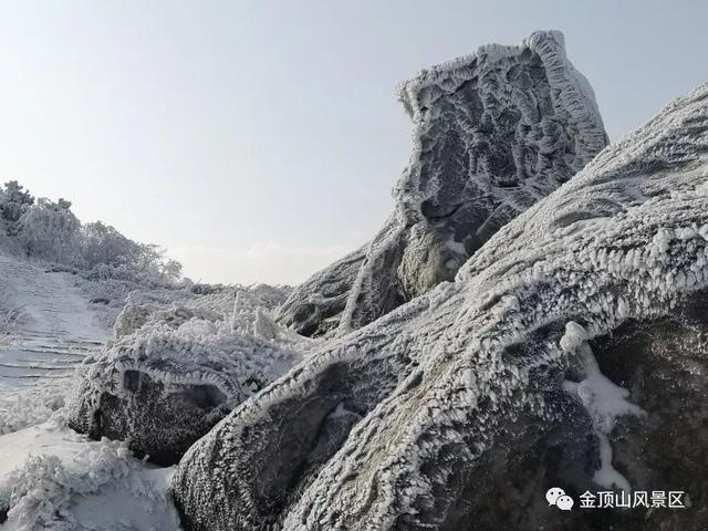 「金頂●冬雪」忽如一夜春風(fēng)來，千樹萬樹梨花開