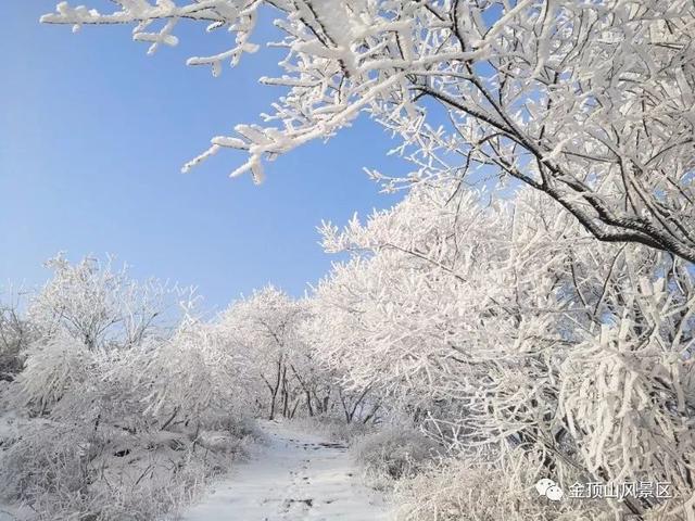 「金頂●冬雪」忽如一夜春風(fēng)來，千樹萬樹梨花開
